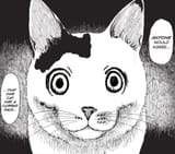 cute mo