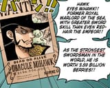 mihawk-is-the-strongest-swordsman-according-to-odas-v0-x4fjodkixf5f1