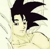 groomerku