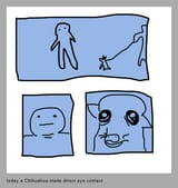 direct eye contact