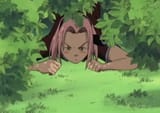 sakubush