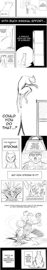 Strong is mewtiful