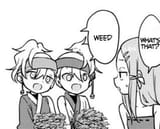 snek weed