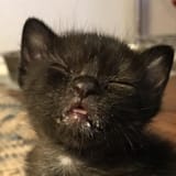 mfw