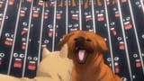 GwIW2_sWsAAZO1_