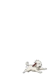 0205-019