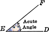 chino_acute_angle.jpg