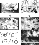 helmet