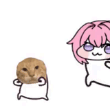 51
