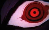 eye for an eye