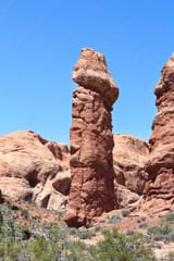 hahapenis