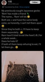 Screenshot_2025-07-19-12-31-30-896-edit_com.twitter.android