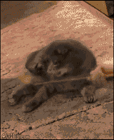 1358221862035