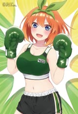 yotsuchamp