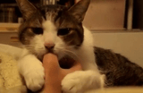 fingersucc