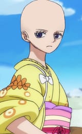 baldkiku