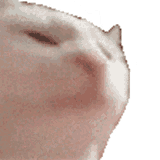 catjam-4011496346