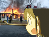 disaster-wako