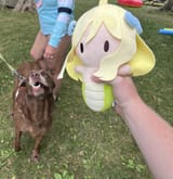 ALL Earths Doggos LUV JASHINCHANsan