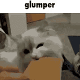 glumper