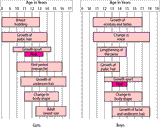 ped_milestones_sexual_development-1