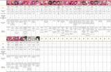 100 girlfriends information chart 33