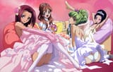 9e9850d45fda55338e64364da34e2878 brides harem