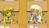 golden and indian miyako