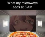 microwave1722642761121041