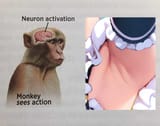 [_pits_activation
