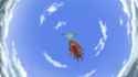 anipoke_PR - 1946812317372662155_thumb.jpg