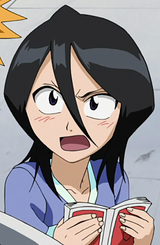 Rukia Book