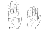 Palm size difference