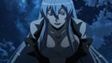[HorribleSubs] Akame ga Kill! - 14 [1080p].mkv_snapshot_16.15.207