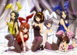 easterharuhi