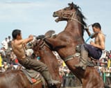 0D177A53-8B62-4093-8FB5-E37B38FD2EC3