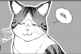 heh smug