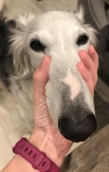Long woofer