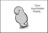 56384