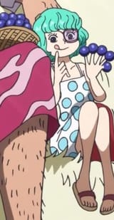 Sugar legs