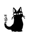 cat