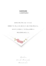 51KlmSMMm9L._UF1000,1000_QL80_