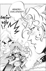 Volume 17 - Insulting Gourry