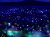 9DB3D777-0419-4377-A6C8-DD2D5D74EB6A