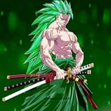zoro completado