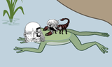 Scorpion_and_the_frog_kurzon