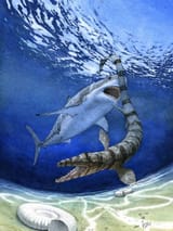 shark vs mosa