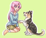 Hinagiku Huskie-Sheltie shake