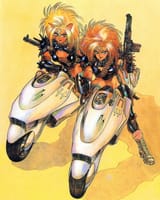 puma twins