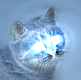 1359822218996